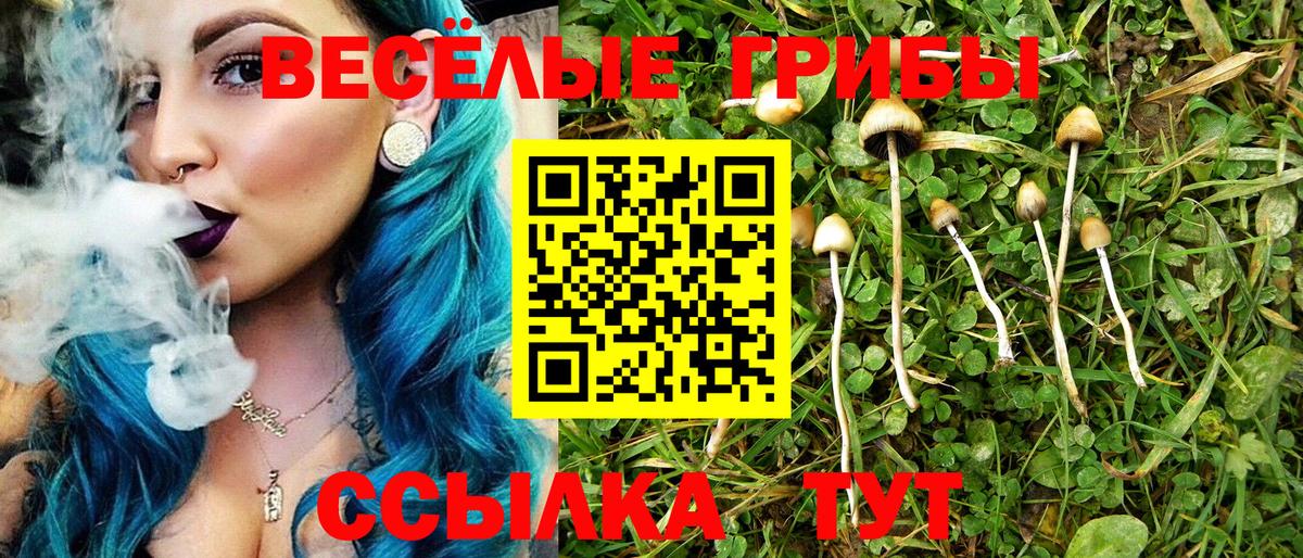 Галлюциногенные грибы MAGIC MUSHROOMS Железноводск